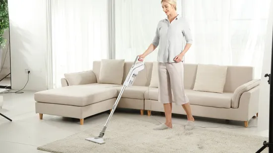 Handheld Vacuum Cleaner Manufacturer Dust Collection Handy and Push 2 in 1